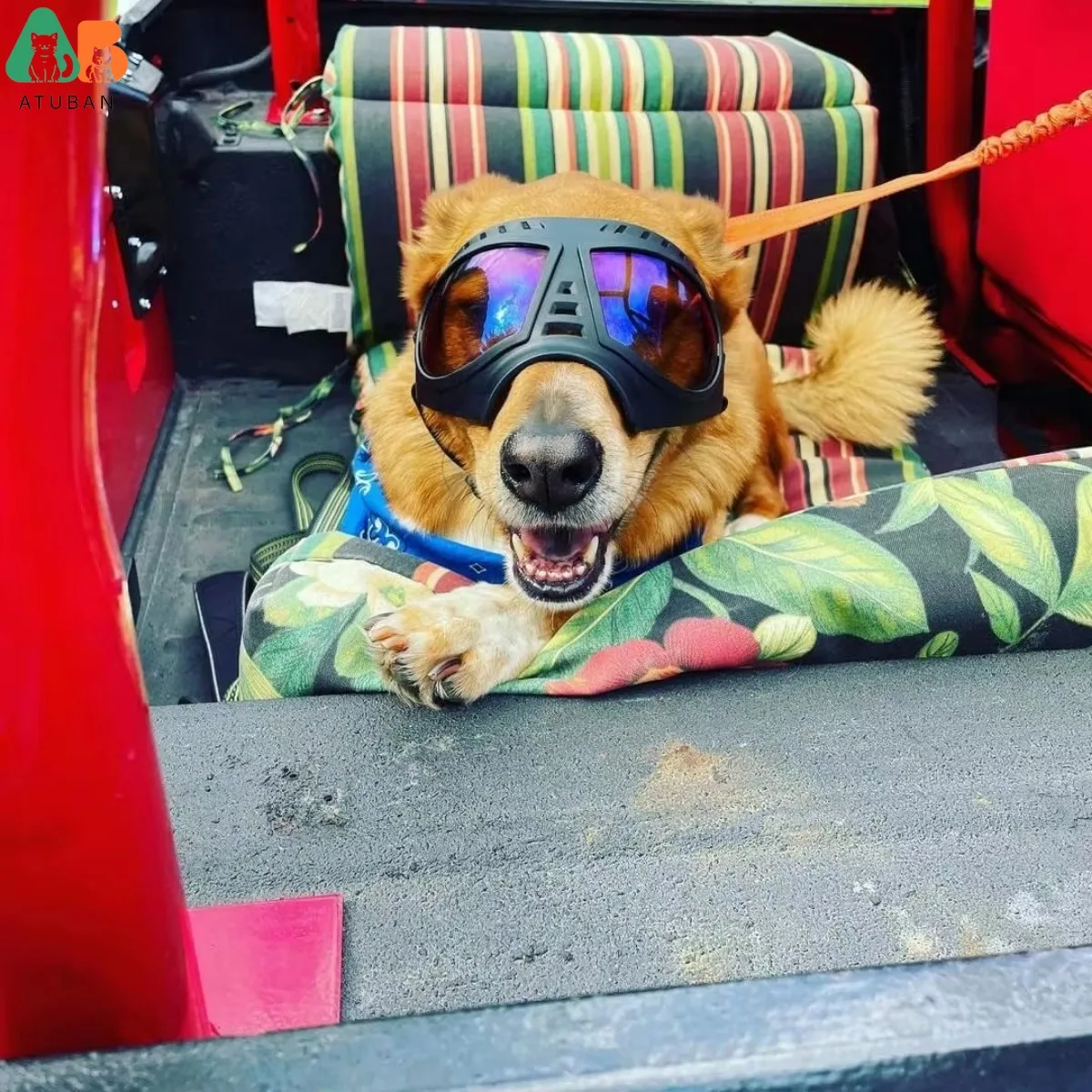 ATUBAN Gafas para perros Gafas de sol para perros de área grande, Gafas para perros de protección ocular a prueba de viento y nieve de razas grandes para conducir al aire libre en bicicleta