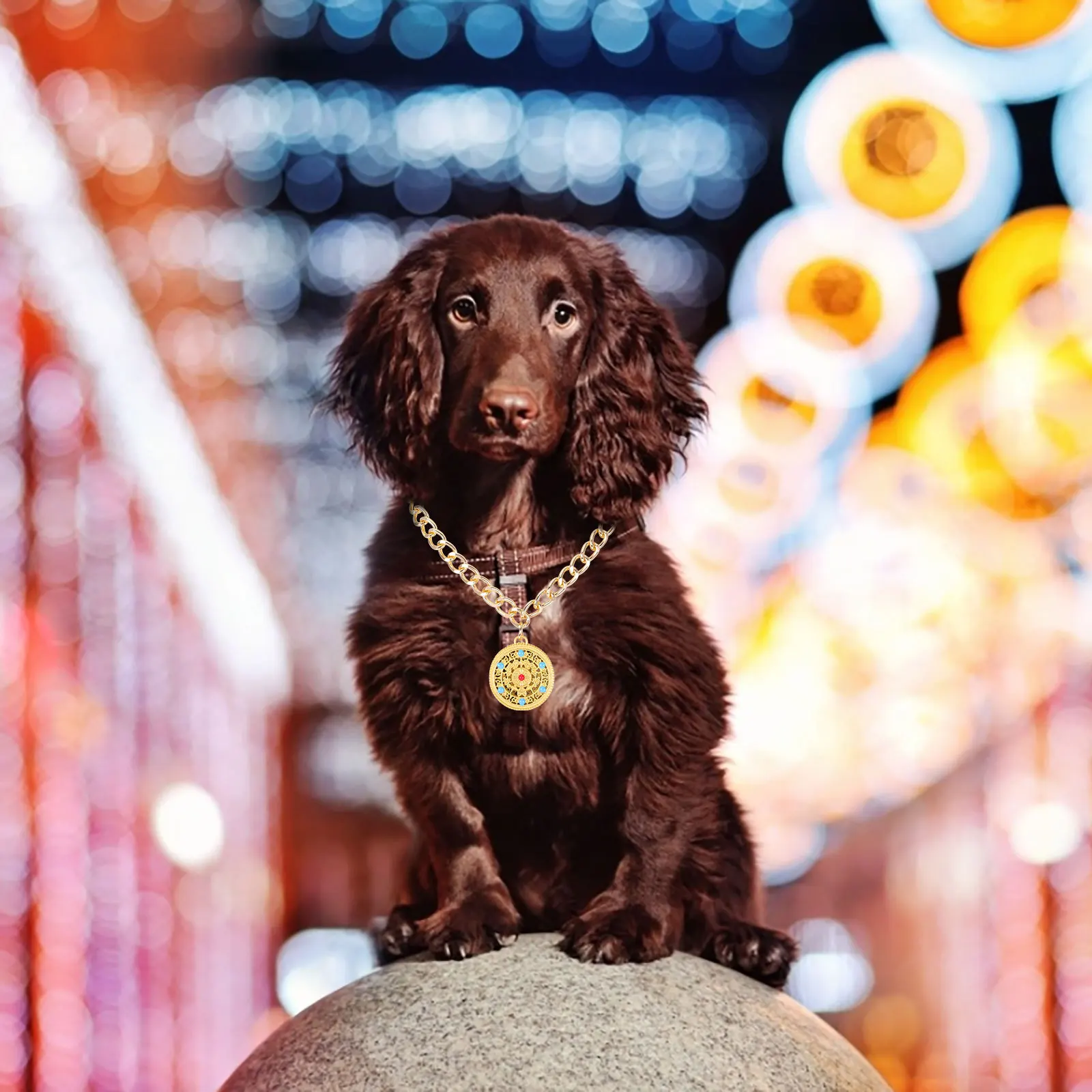 

Pet Metal Longevity Lock Pendant Necklace Chinese New Year Dog Cat Collar Stylish Jewelry Chinese Good Luck Charm