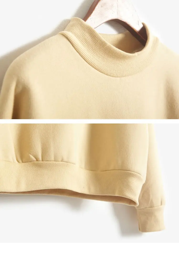 2025 Autumn Winter Fleece Crewneck Sweatshirt Women Men Loose Long Sleeves Velvet Pullover Tops Solid Sweatshirt Female Clothes