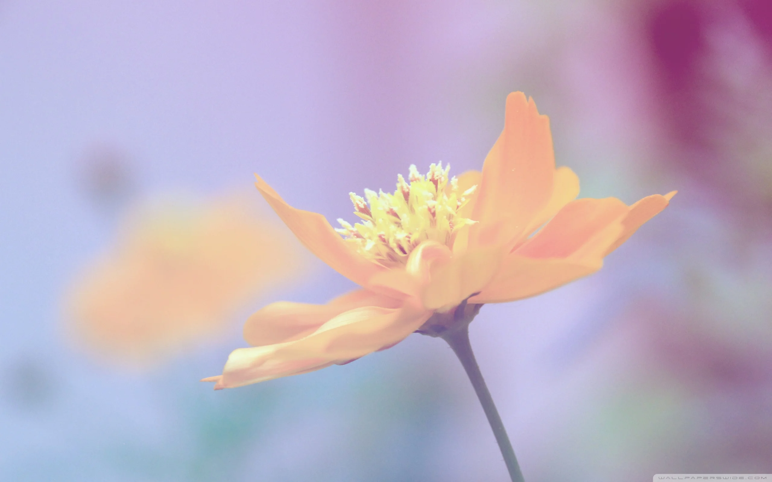 

40V 4.0/6.0 Ah Lithium Battery for Worx WG180 WG280 WG380 WG580 40V Lawn Mower Garden Device