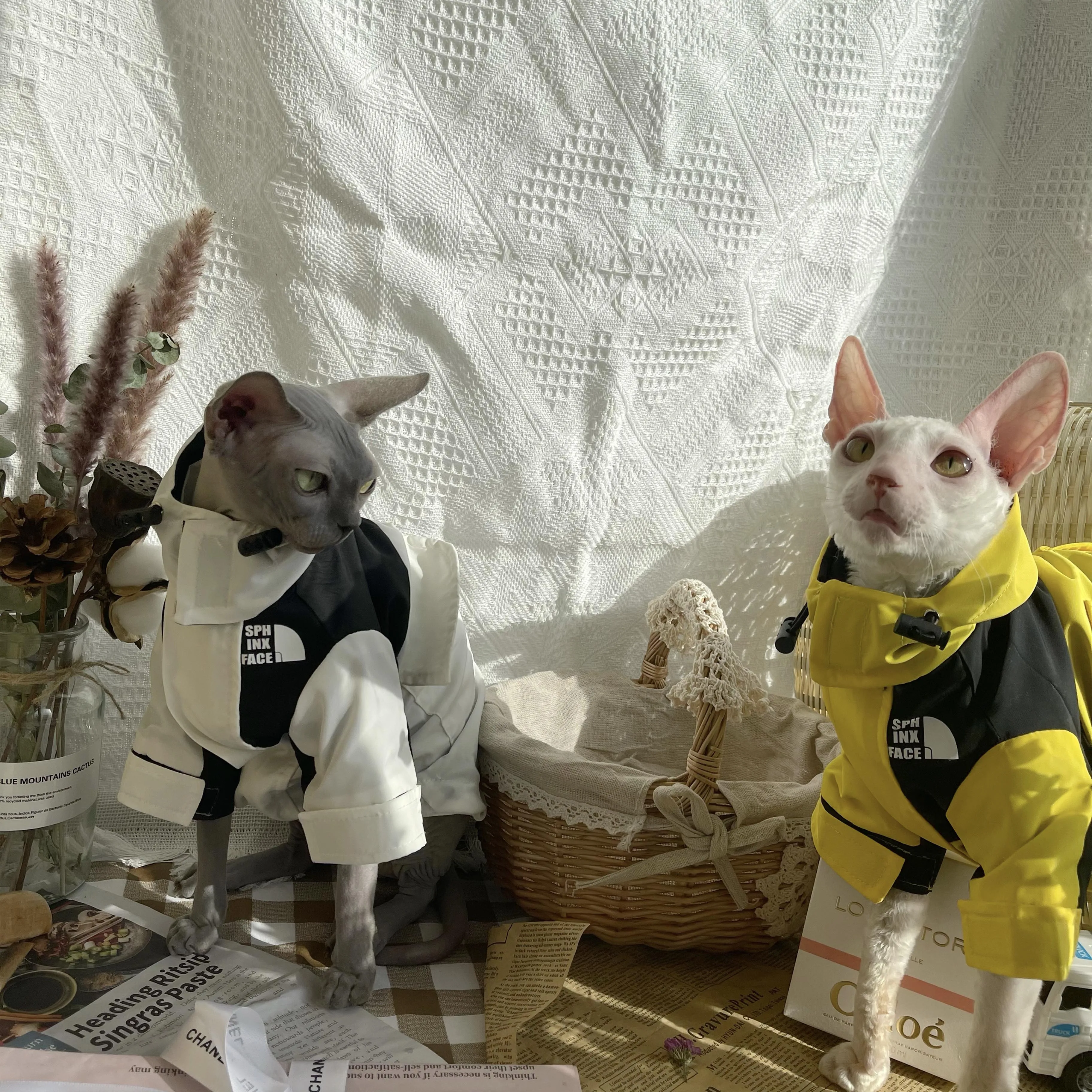 Fashion Outdoor jacket for Sphynx Cat Warm Hooded Sweatshirt Long Sleeves for Devon Rex Waterproof Coat for Kittens in Winter