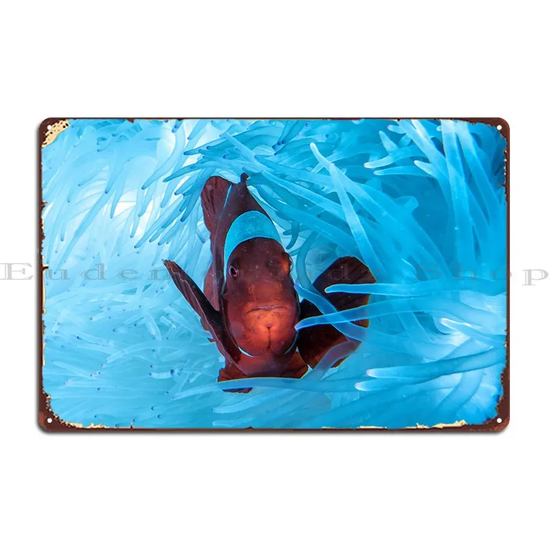 Animal Clownfish Fishes Metal Sign Home Garage Wall Decor Designer Garage Tin Sign Poster