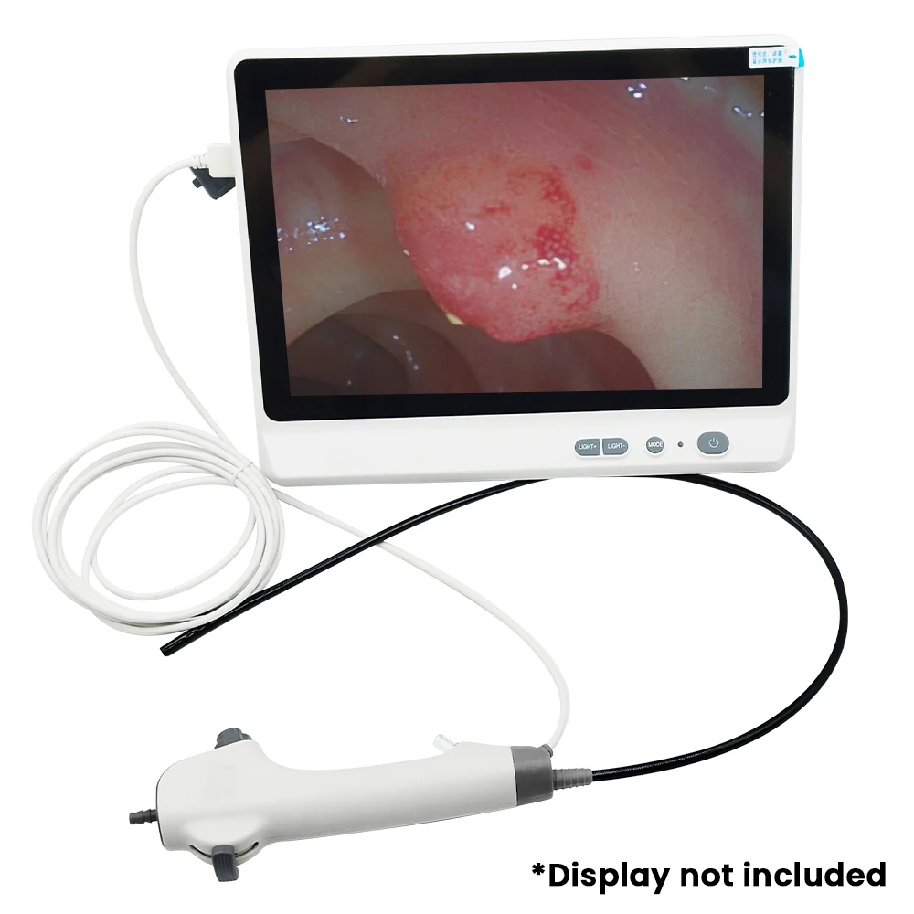 Portable hysteroscopy/laparoscopic endoscope, a veterinary instrument with a power supply for veterinary or human use