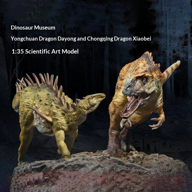 

Dinosaur Model 1 35 Scientific Art Yangchuanosaurus Dayong Chongqingosaurus Xiaobei Dinosaur Museum For Adult Collectors