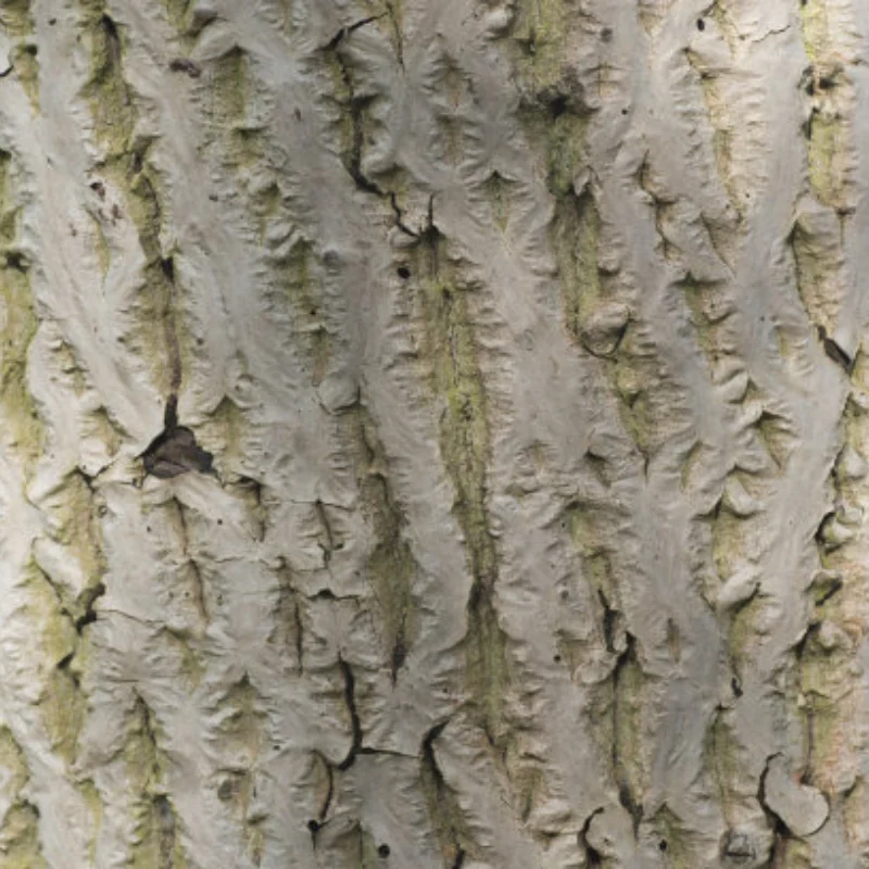 

SD25MG 25 кг SD35MG 35 кг Водонепроницаемый сервопривод 180 ° Полностью алюминиевый корпус, шестерня из нержавеющей стали с высоким крутящим моментом для радиоуправляемого автомобиля 1/8 1/10 1/7