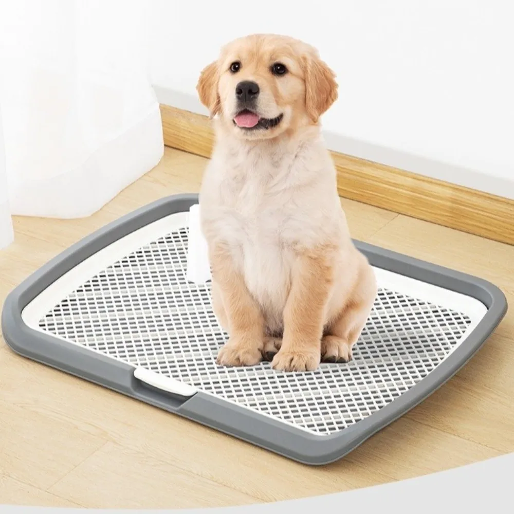 Splash-Proof Dog Training Toilet Removable Net Mesh Pet Pee Pad Holder Open Top Plastic Pet Potty Pads Training view 2