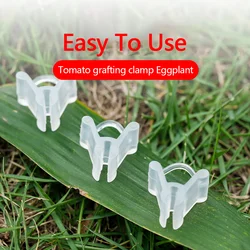 100pcs Special Grafting Clips, Tomato Seedling Grafting Clip, Eggplant Grafting Clamps for Vegetables Flowers Seedling Grafting