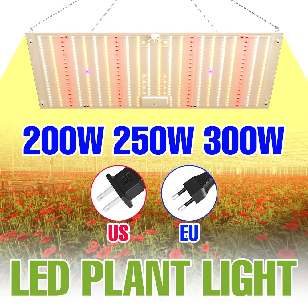 300W Spettro Completo Coltiva La Luce LED Quantum Board Pianta Lampada di Riempimento Coperta 220V Serra Tenda Vegs Fiore Cactu Coltiva l'illuminazione