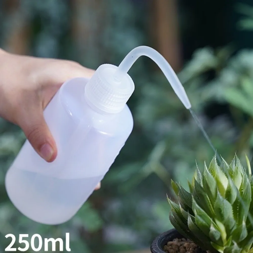 

Набор для садоводства из нержавеющей стали: секатор, многофункциональные инструменты для суккулентов, водонепроницаемый коврик, эргономичная ручка