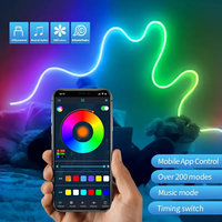 1M 2M 3M 5M 5V Rgbic Neon Led Light Strip With Music Sync Wireless App Control Usb Powered Flexible Ambient Streamer Rope Light