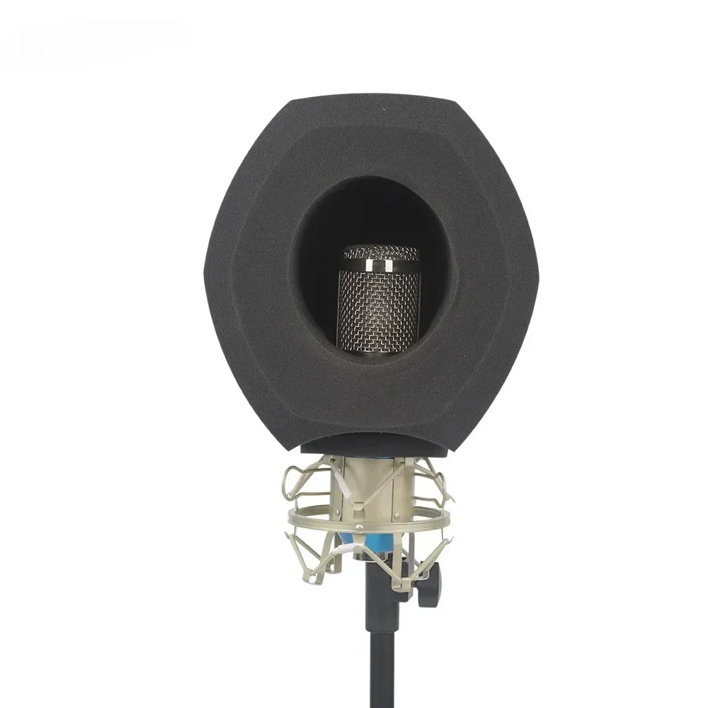 Professional Studio Microphone Pop Filter Mic Screen Acoustic Sponge Noise Reduction Vocal Isolation Booth Recording Windscreen