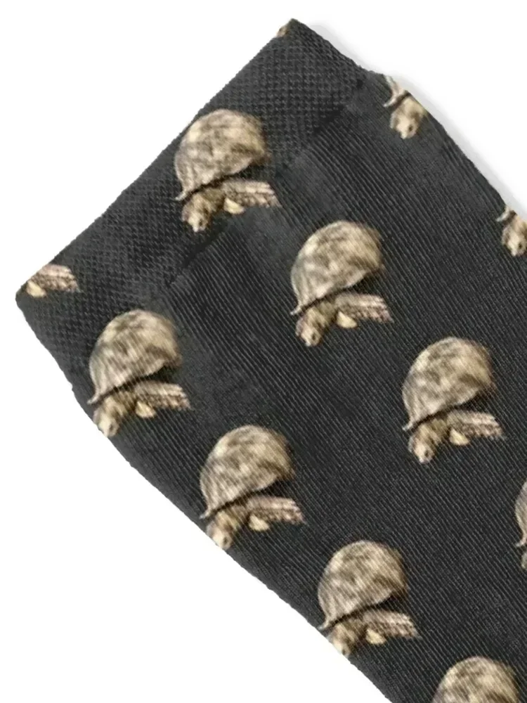 Sulcata Tortoise (grazing) Socks hockey Novelties gym man Women's Socks Men's