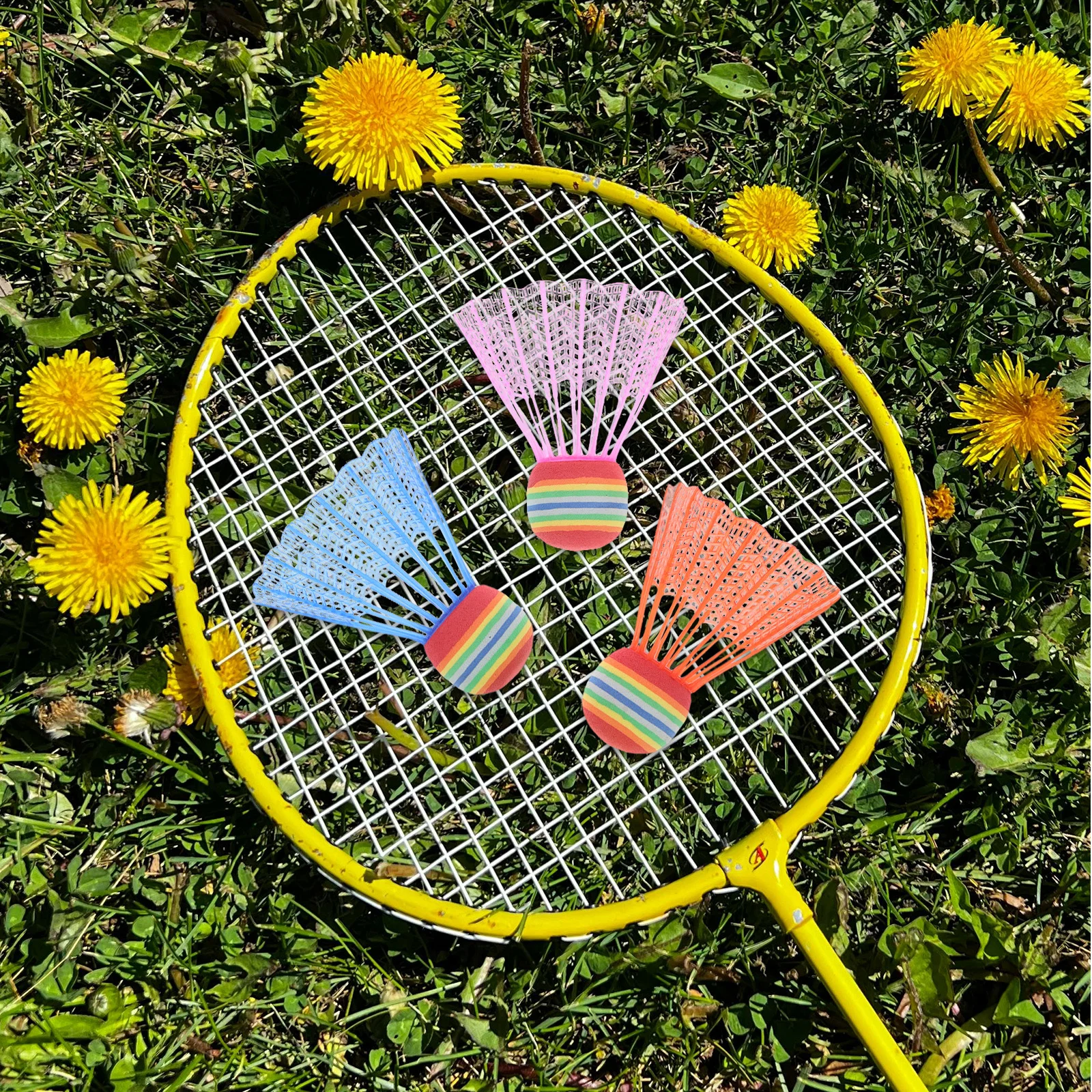 

12Pcs Colorful Badminton Shuttlecocks Big Head Design Indoor Outdoor Kids Beginner Training Equipment Practice Birdie Balls