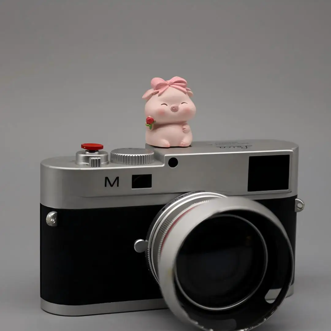 Cute Pig Hot Shoe Cover for Leica Q2 Fuji X100V X-T5 Sony ZV-1 Canon EOS R5 Nikon Z5 Camera Accessories view 5