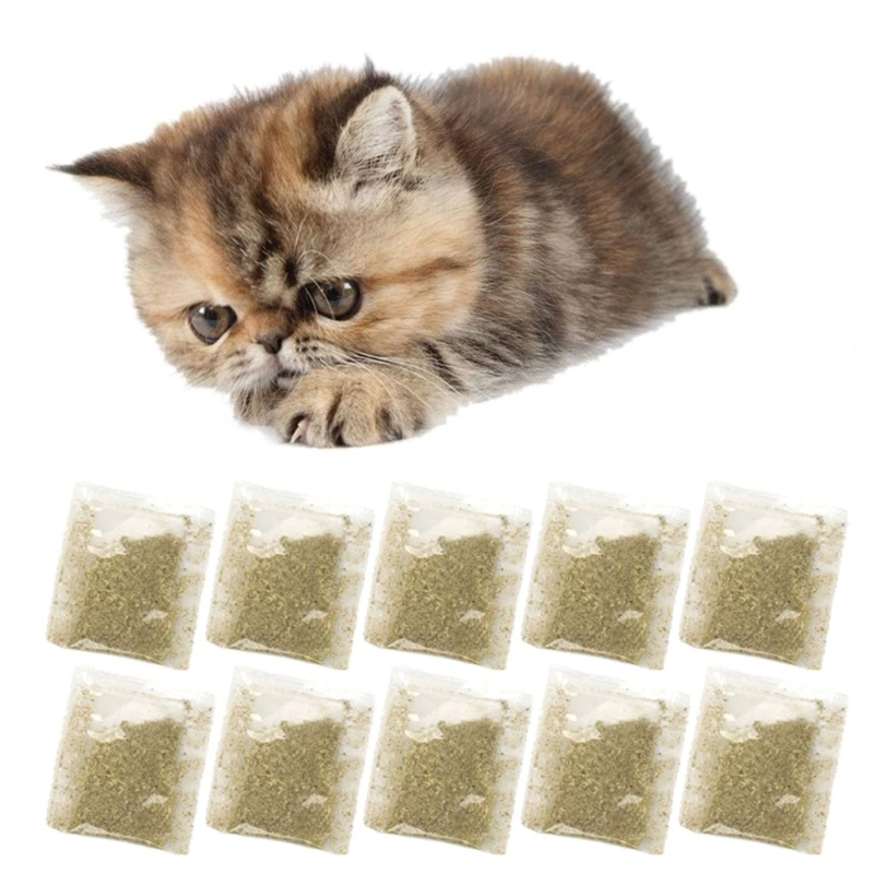 10 Pack Catnips Cat Toy Supplement Accessories Natural Catnips Powder Drive Your Cat Wild Catnips Treats for Training Y5GB