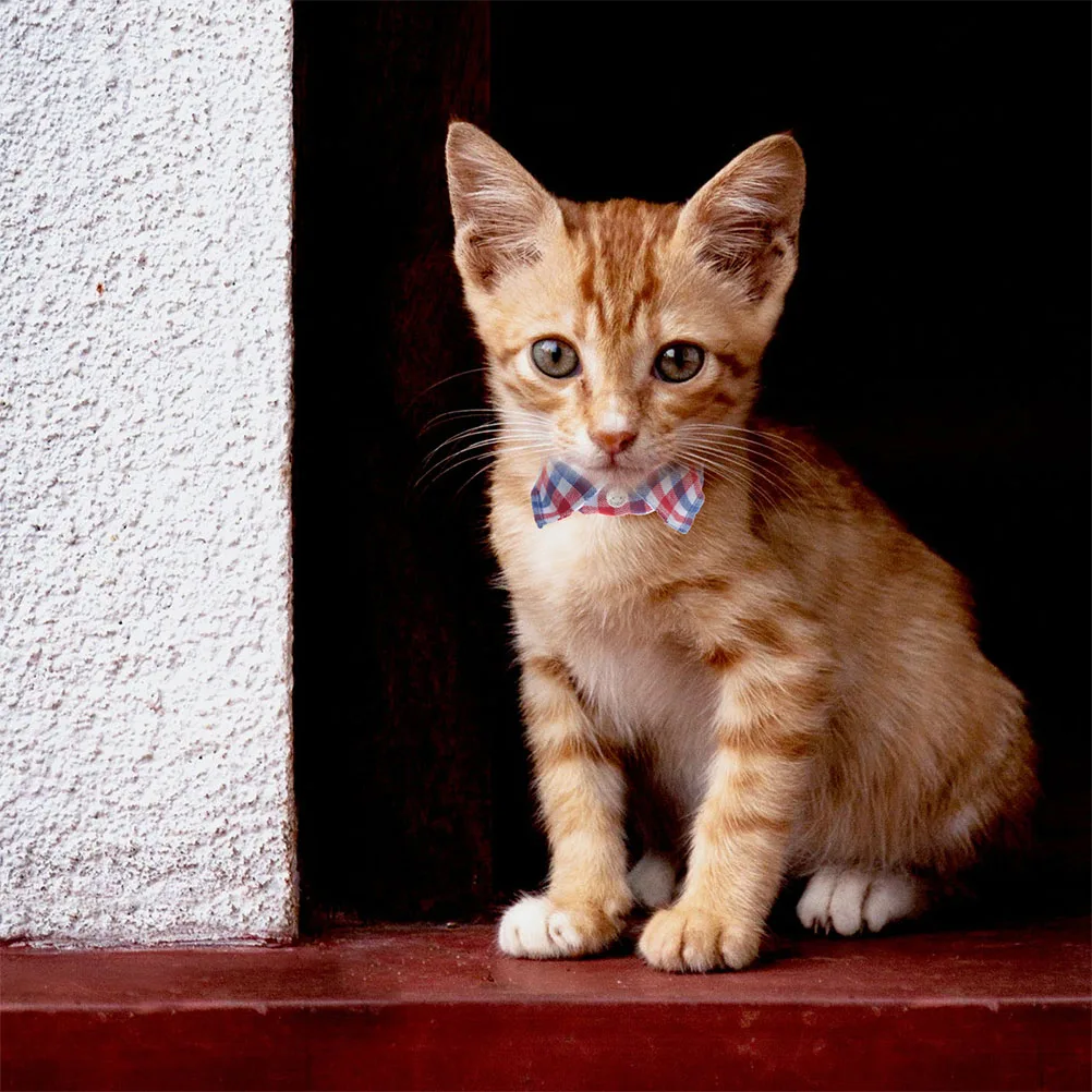 

2Pcs Adjustable Cat Collar with Bell Decorative Exquisite Kitten Neck Collar Pet Accessory Pet Supplies Collars for Cats