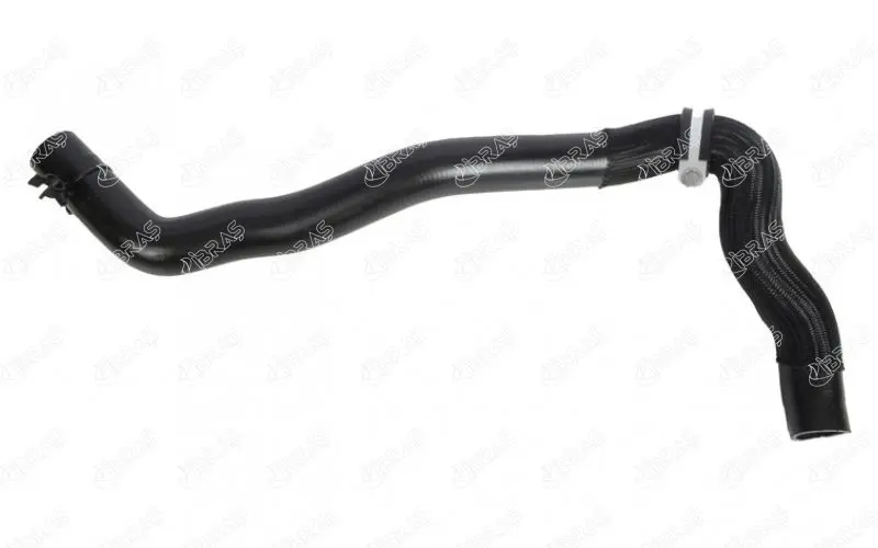 Store code: 11684 radiator top hose LAGUNA III 22.0dci