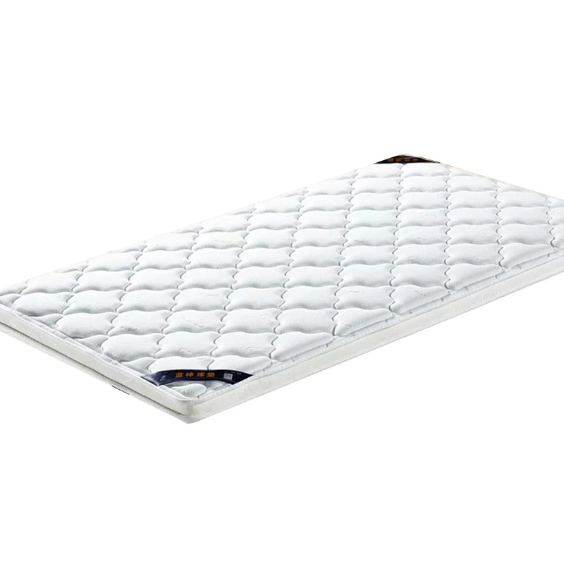 مرتبة أرضية إسفنجية لتقويم العظام متينة مريحة وحديثة قابلة للطي قابلة للطي من فوتون حصير حصيرة وسادة نوم لغرفة النوم والمدرسة المستشفى