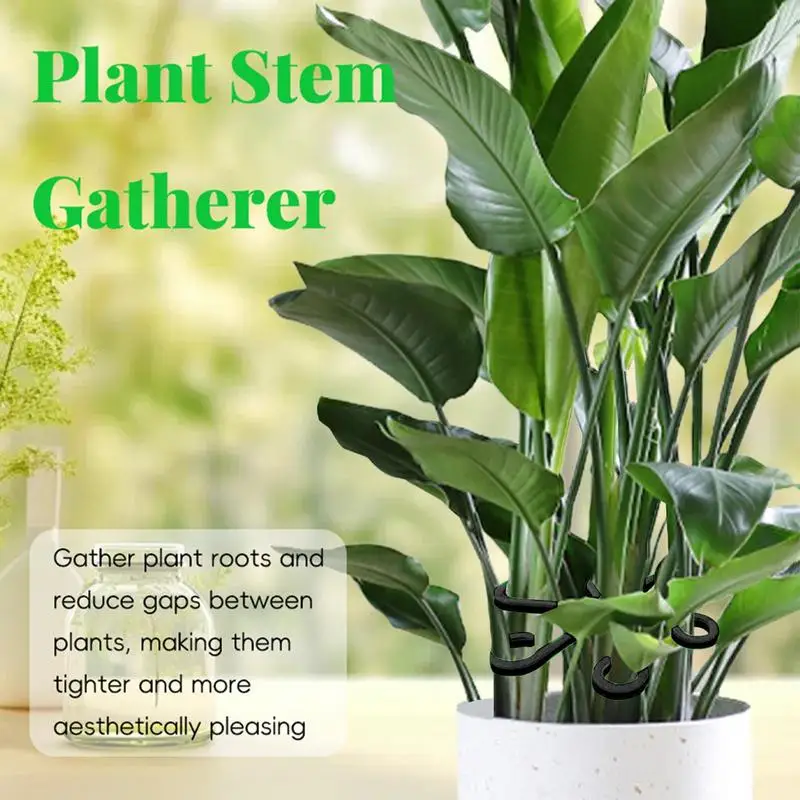 Plant Stem Support 4pcs Plant Clips For Support Garden Support Clips For Alocasia Monstera To Grow Upright And Makes Healthier