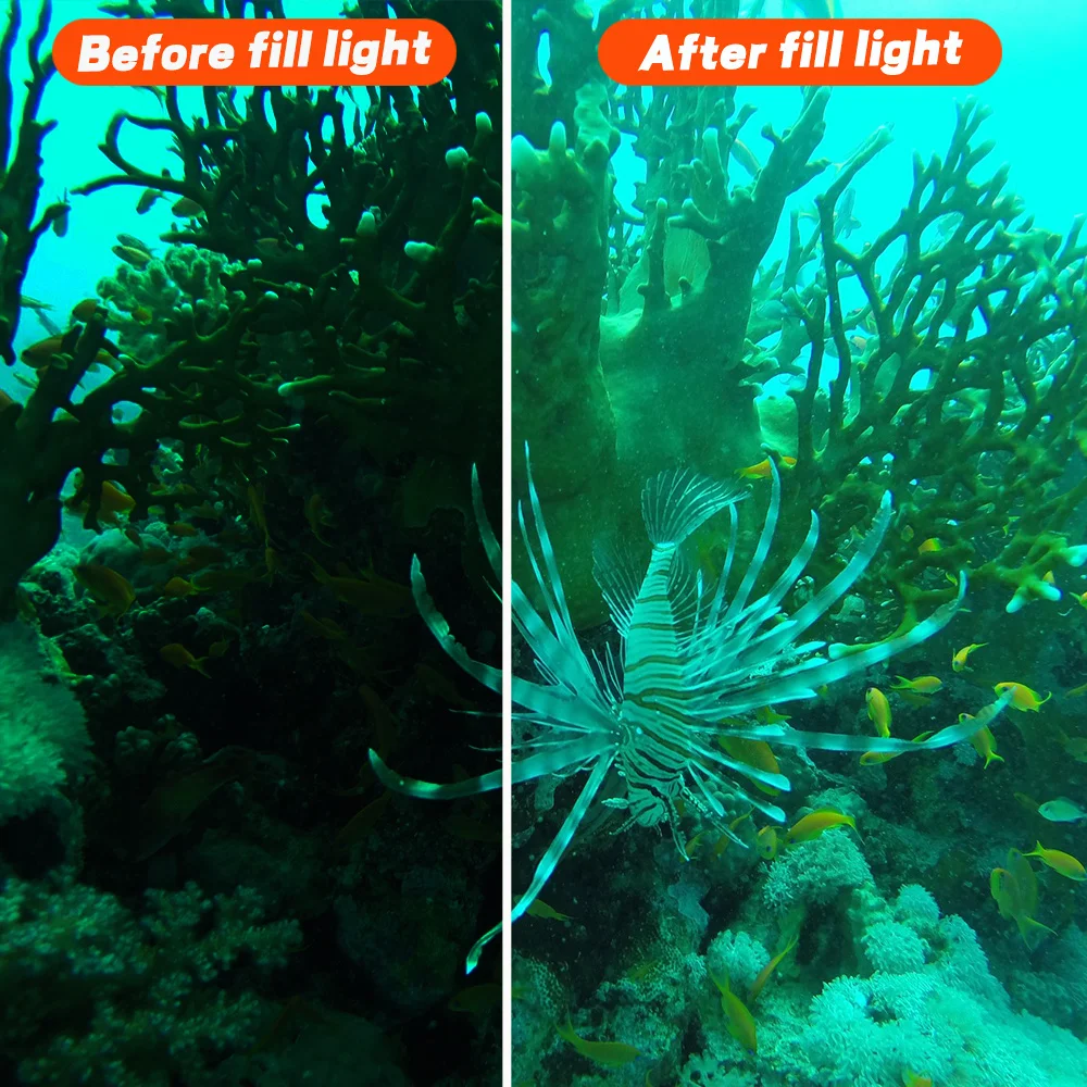 แบบพกพากันน้ำแฟลชใต้น้ำ40M ดำน้ำเติมแสง1800LM แบตเตอรี่กล้องอุปกรณ์เสริม