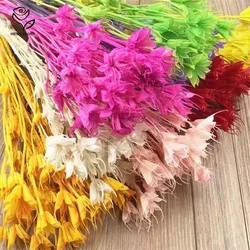 40/80g Real Fresh Dried Eternelle Star Anise Flower Branch Autumn Christmas Decoration Artificial Flowers Home Decor Arrangement