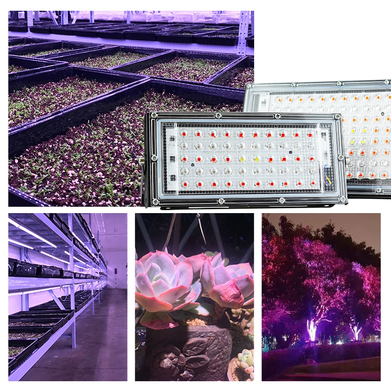 Full Spectrum 50W 100W LED Floodlight 220V LED Spotlight LED Grow Light PhytoLamp Street light Lamp For plant growth lamp