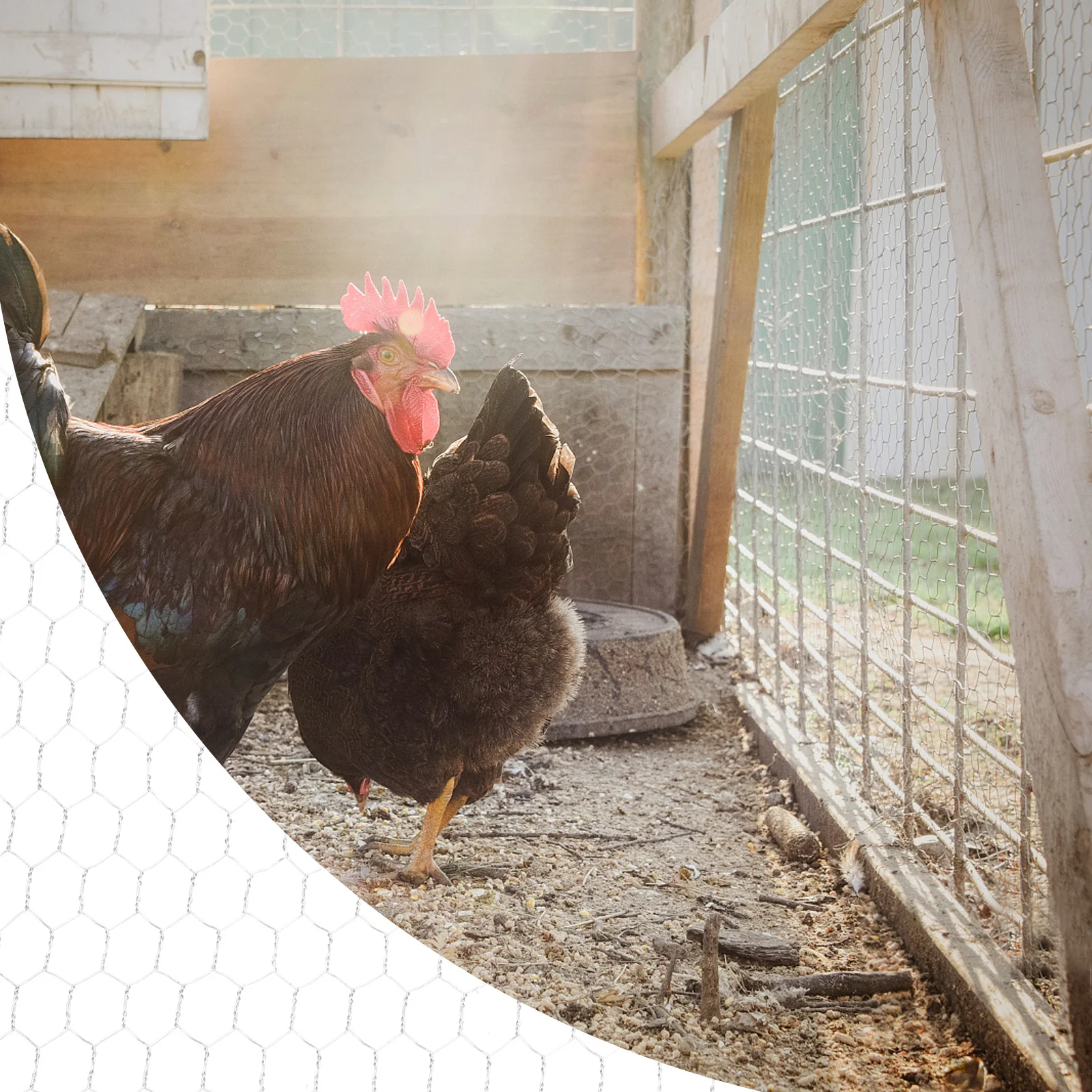 

Garden Hexagonal Mesh Decoration Chicken Wire for Floral Lattice Netting Silver Galvanized Poultry