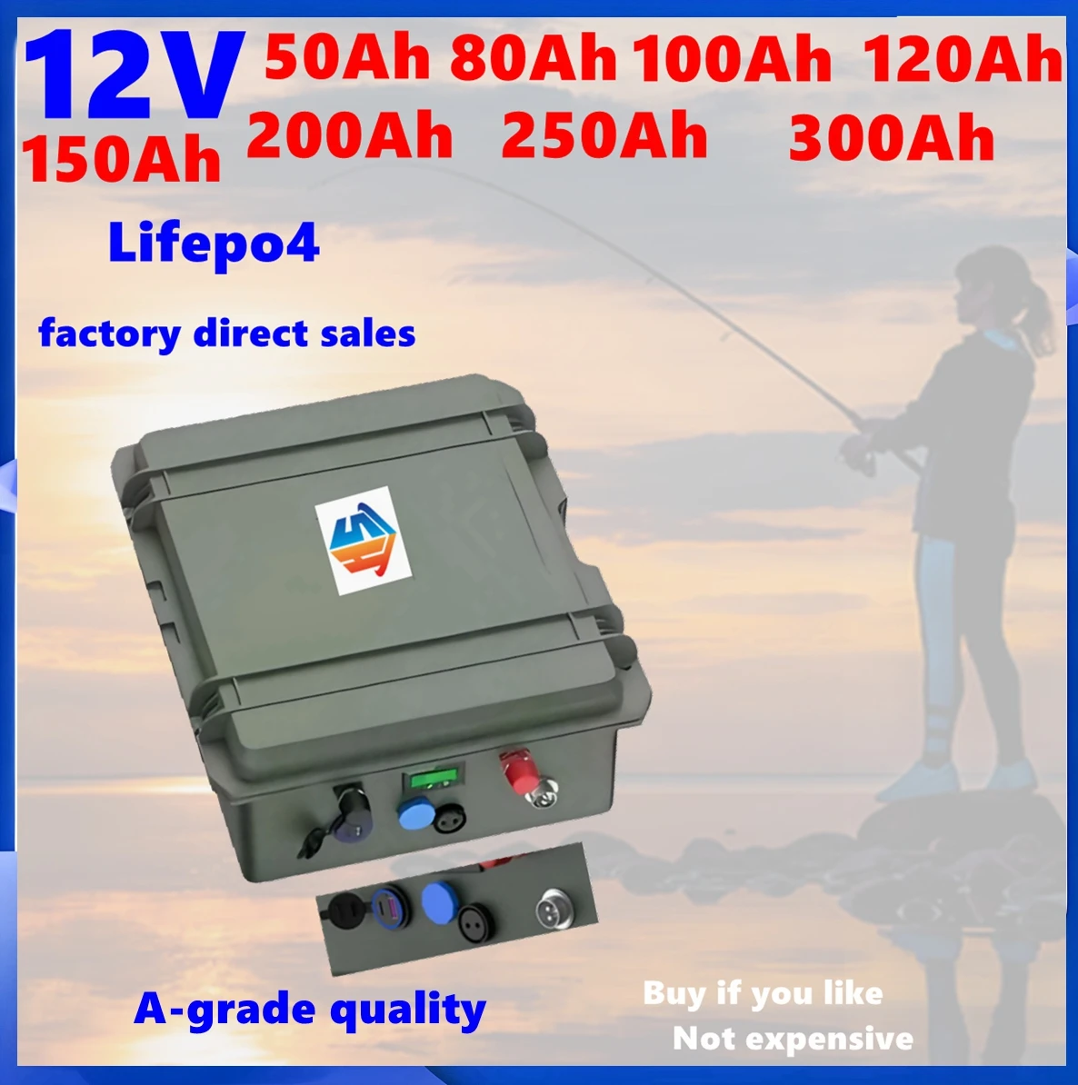 

LiFePO4 24V 12V 100Ah 150Ah 200Ah 2.5KWH 6000+ Cycles Cells BMS LiFePO4 12.8V Lithium Battery+charger