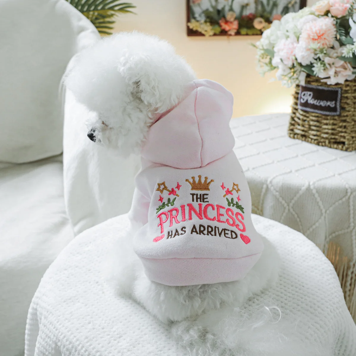 1PC Pet Clothing Spring and Autumn Velvet Pink Little Princess Hoodie Hat Hoodie Suitable for Small and Medium sized Dogs