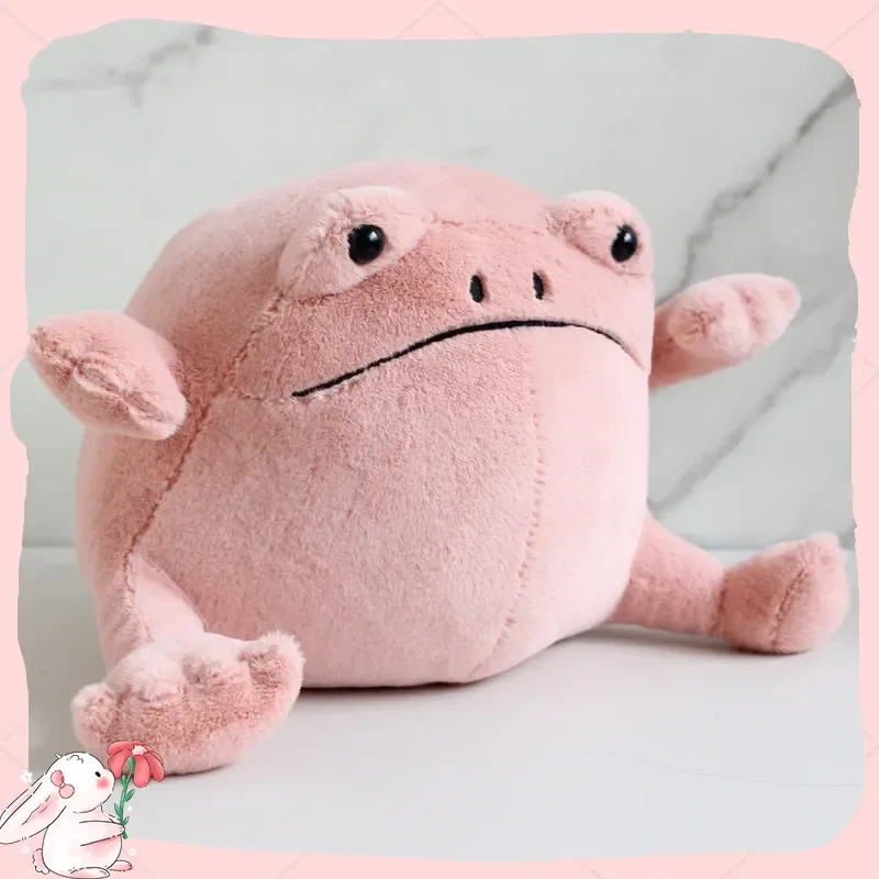 

Ricky Rain Grumpy Face Frog Plush Stuffed Toy Kawaii Meme Character Doll Cute Stress Relief Gift Animal Plushie for Fans
