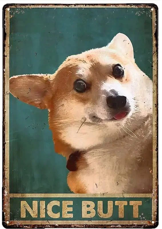 Divertidos Letreros…