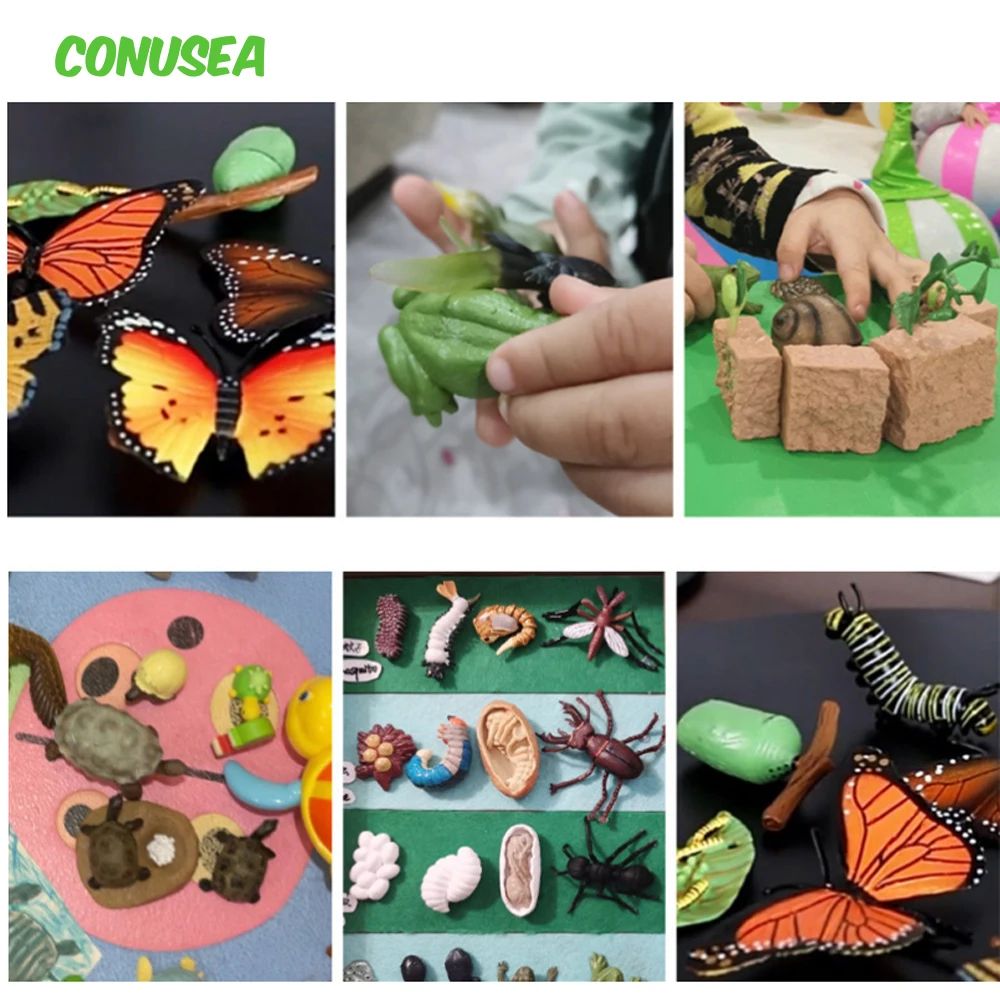 Insect Animals Toys Kids Cognitive Educational Toys Simulation Mini Duck Frog Butterfly Growth Cycle Ornaments Set Toys