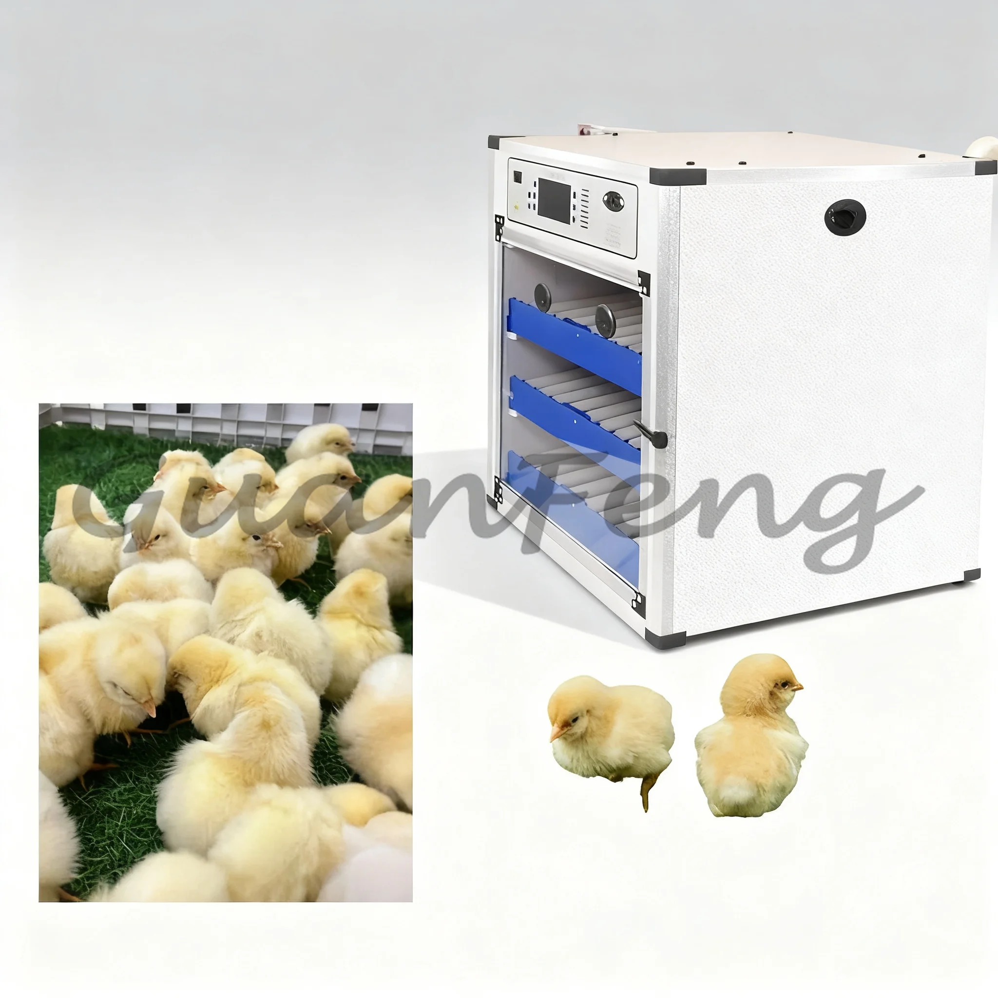 Poultry Incubator - Podwójnie zasilana solarna inkubatorka na 204