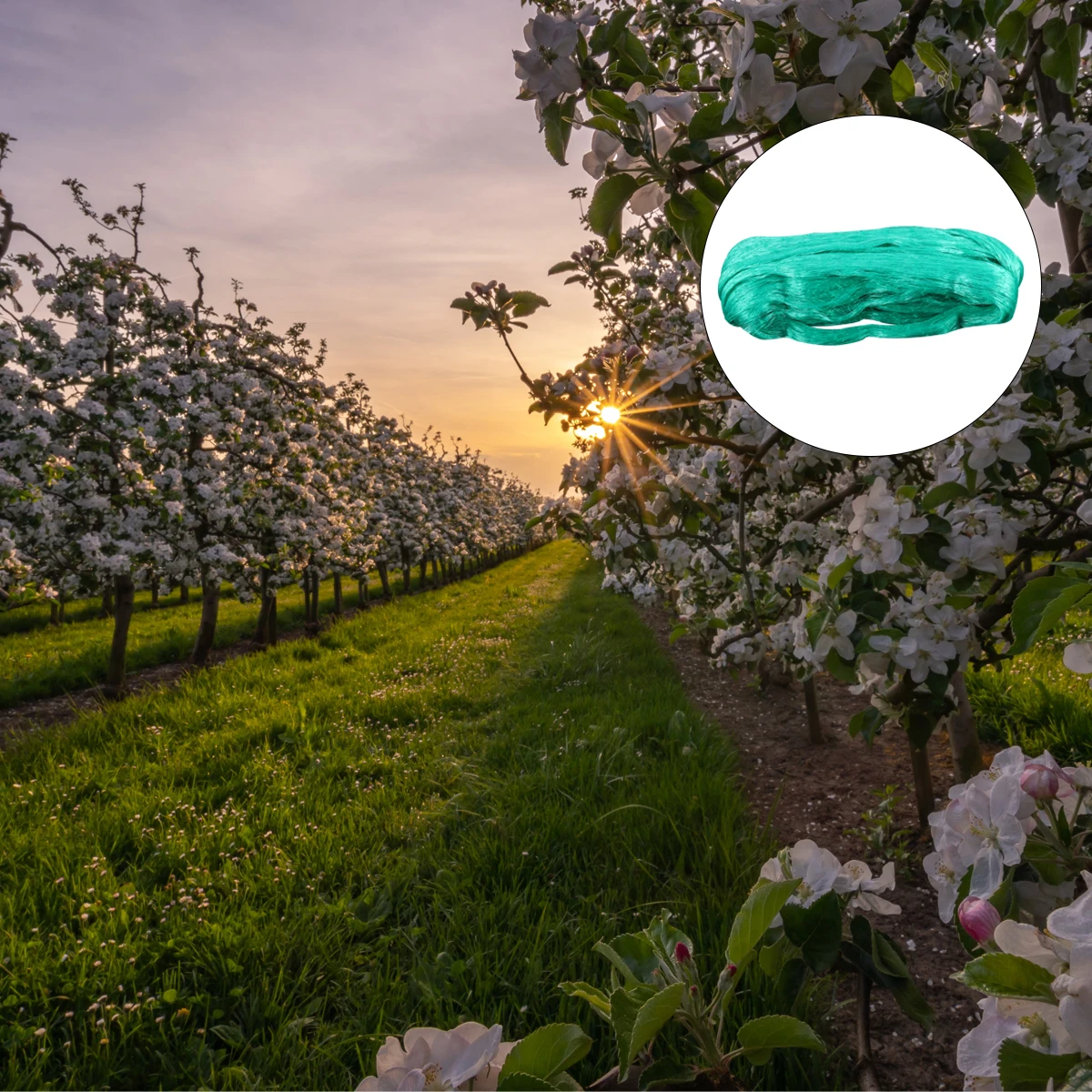 

Anti Bird Protection Net Mesh 2M X 10M Large Mesh for Farm Garden Netting Barrier Protecting Fruit Trees Shrubs Vegetables