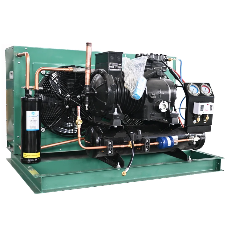 Lucky Star 8HP Refrigerator Heat Exchange Equipment Unidade De Condensacao Cooler Cold Storage Freezer Bitzer Condensing Unit