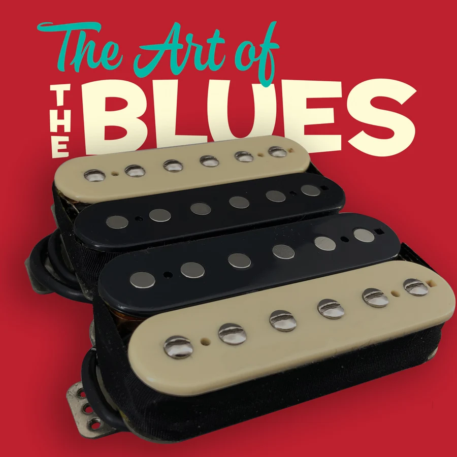 Vintage Blues Guita…