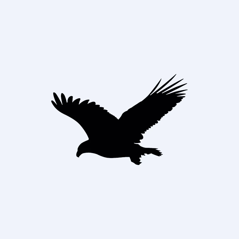

Fun Eagle Bird Vinyl Car Window Sticker Black/Silver Decal Car-styling Car Decoration 16.6CM*10.9CM,PVC