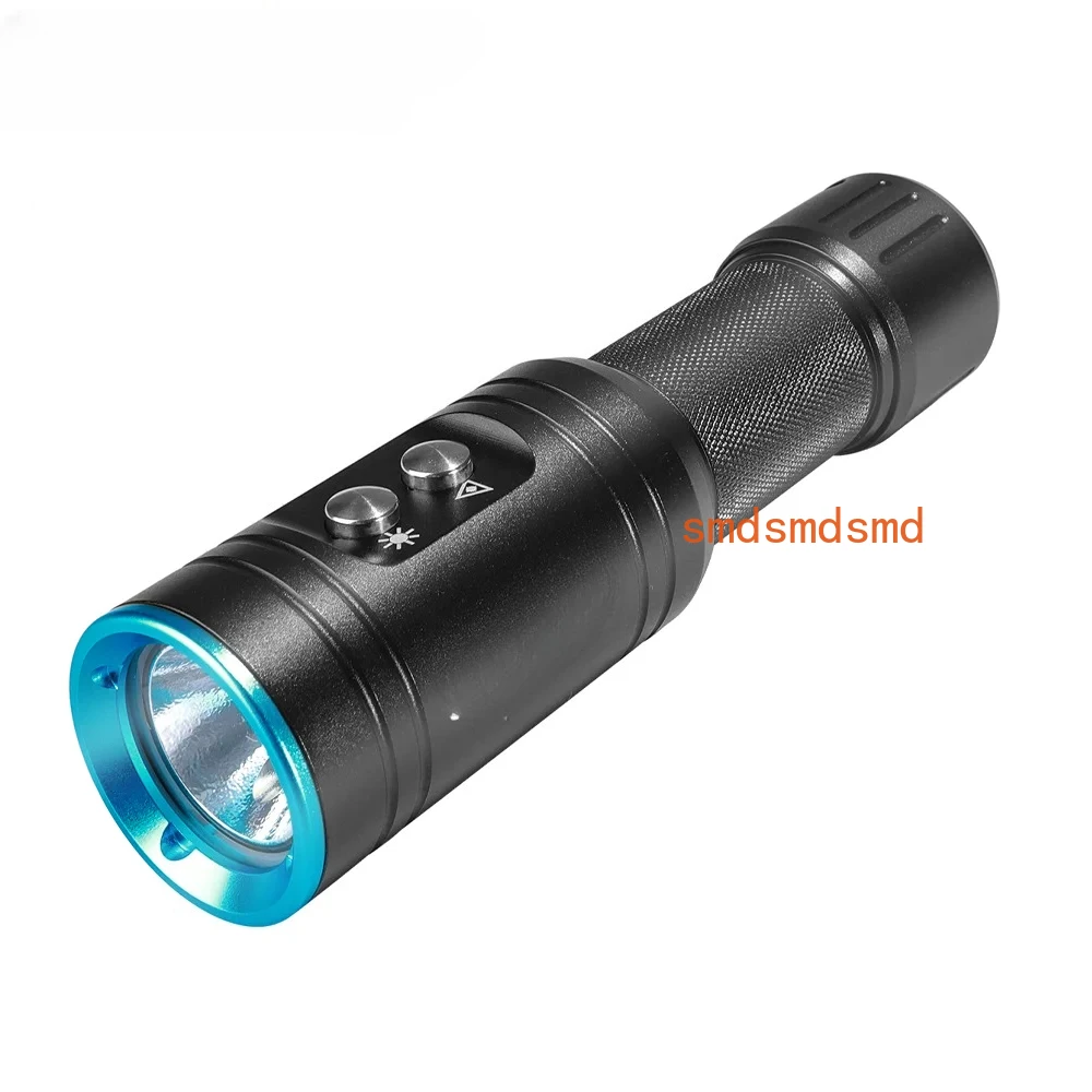 1000 Lumens Led Fla…
