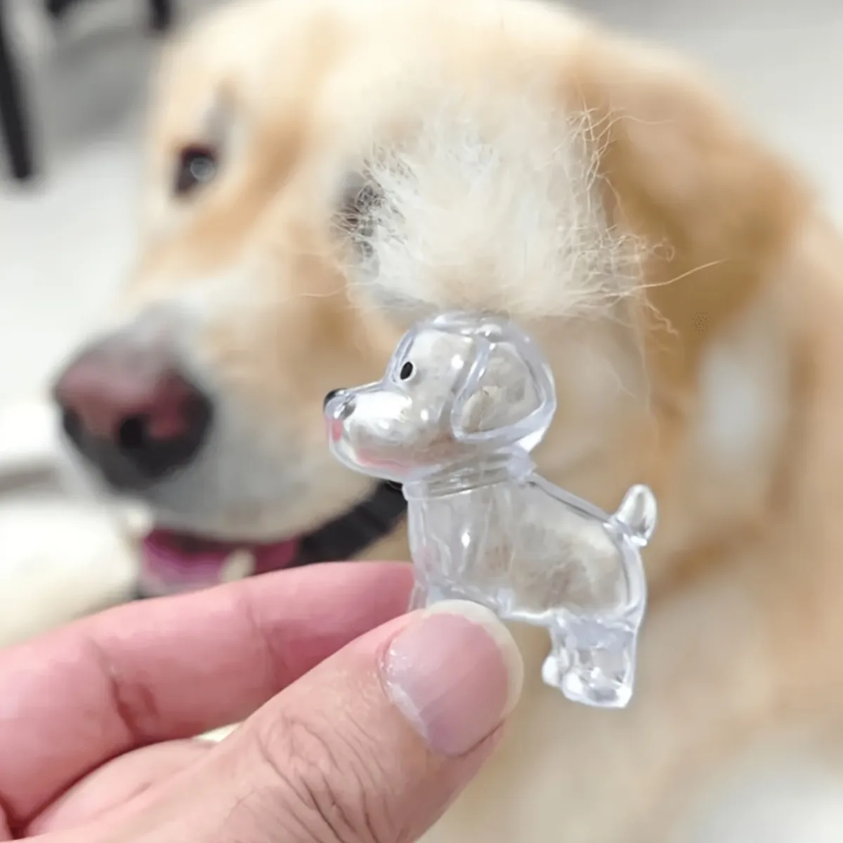 Pet Hair Commemorative Keychain Pendant, Cute Teddy Dog Transparent Hair Collection, Creative Keychain in Dog Shape