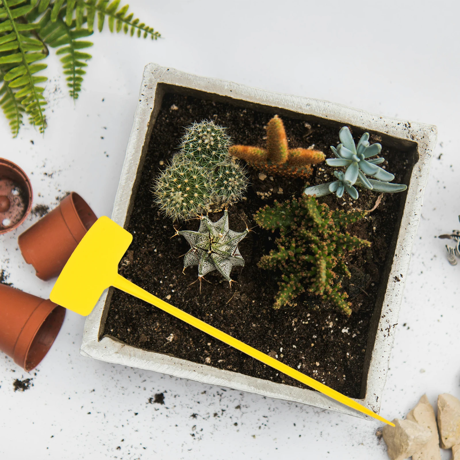 

10 Pcs Gardening Signage Flower Markers Cactus Plant Tags Decorative Signs Decorate