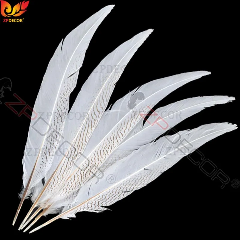 45-50 CM/18-20 Inch Silver Pheasant Tail Feathers Color can be custom