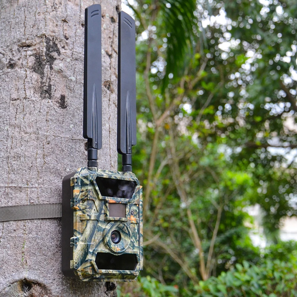 

Best Selling 3G Wireless Scouting Hunting Wild Trail Camera
