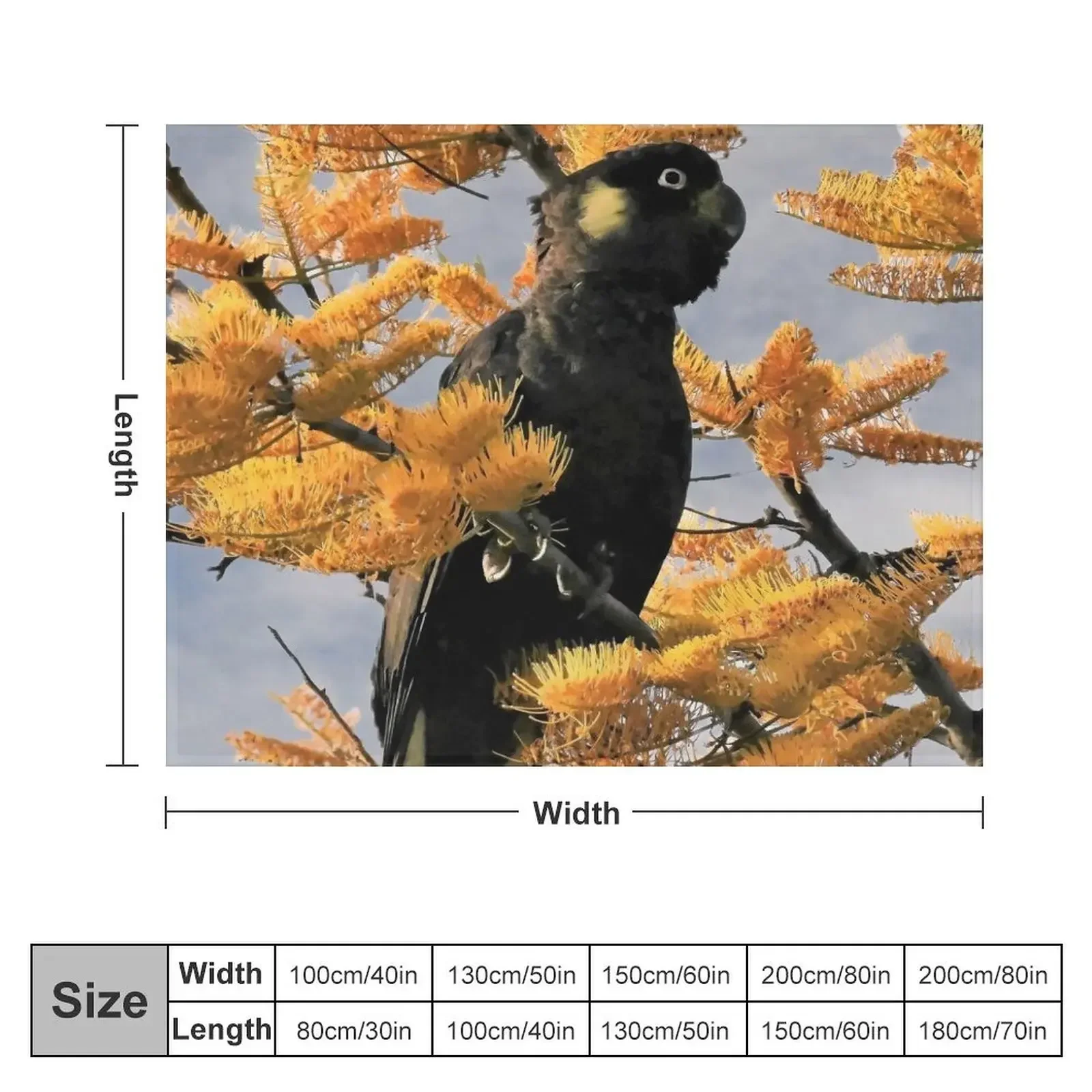 Yellow Tail Black Cockatoo (4) Throw Blanket Multi-Purpose Summer Beddings Luxury Blankets