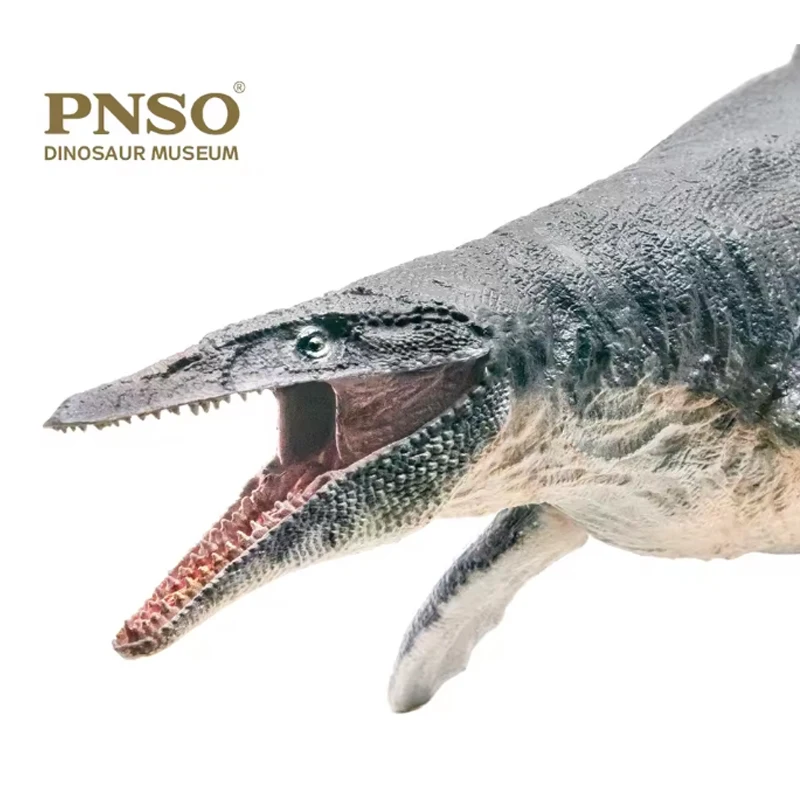 

PNSO Dinosaur Museum Canglong Ron 1:35 Science and Art Model Prehistoric Ocean Dominator Exquisite Gift Birthday Surprise