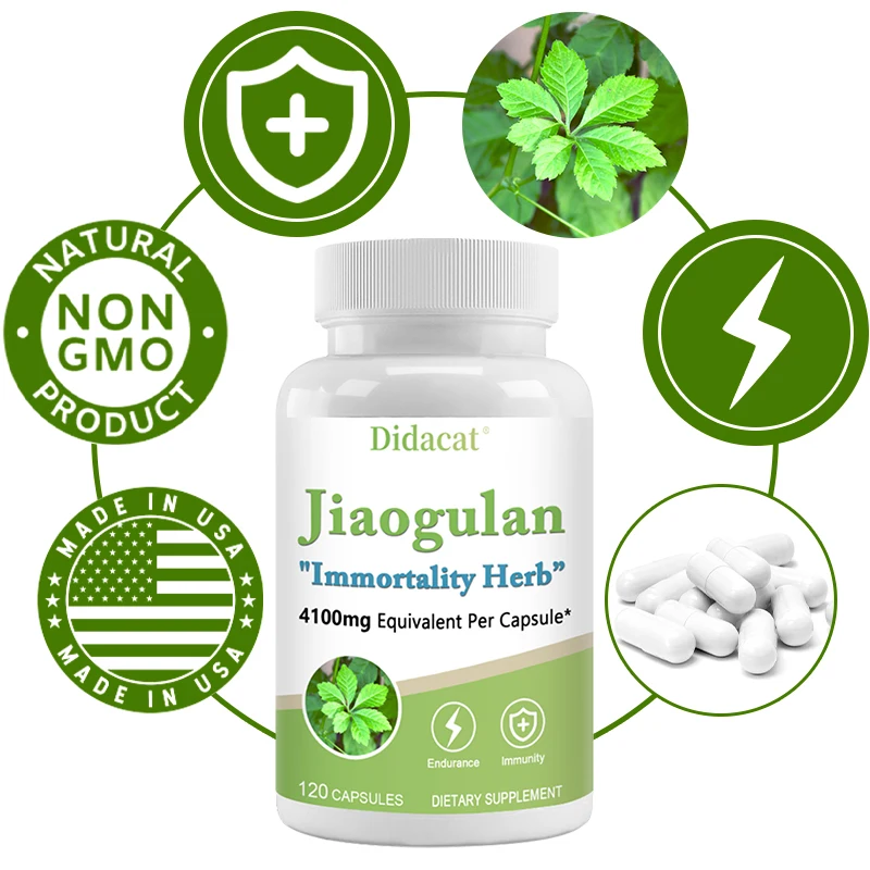 Jiaogulan 410 Mg 120 Vegetarian Capsules (Extract 10:1, Vegan, Non-GMO and Gluten-Free)