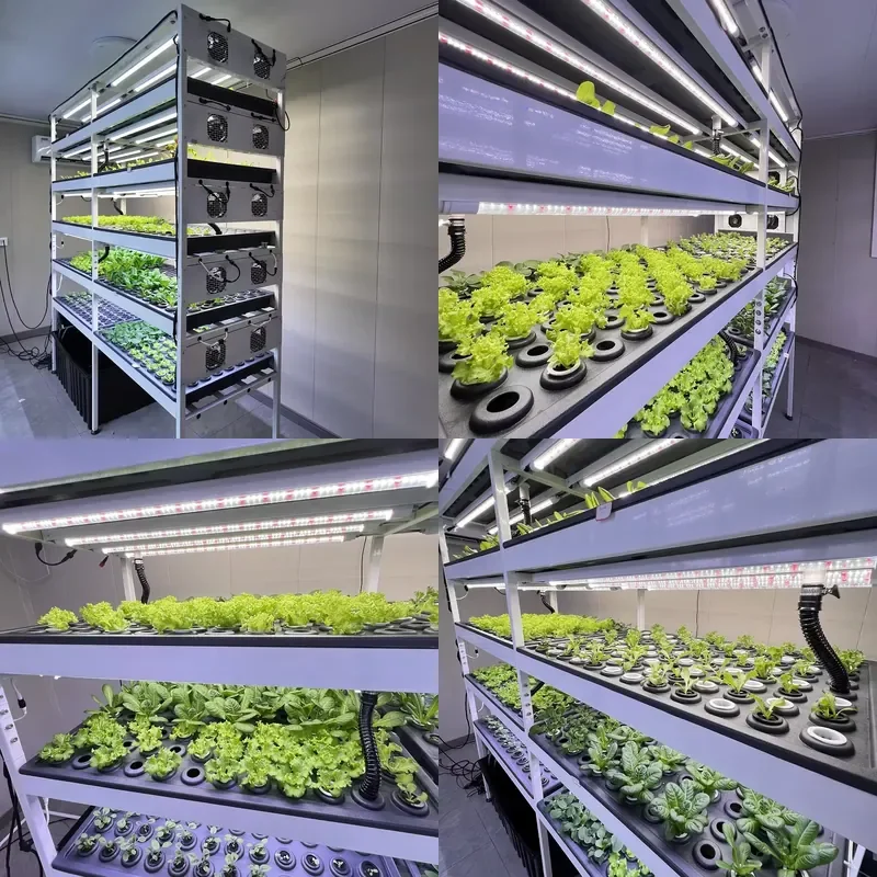 All in One Indoor Smart Garden Hydroponics System with Pump Motor Water Tank and LED Plant Growth Light for Vegetable Fruit