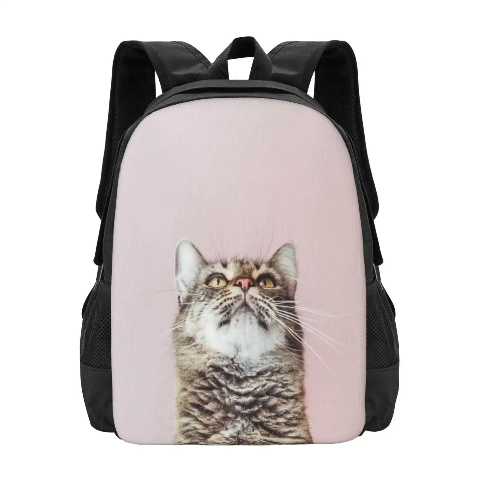 Beautiful Cat Looking Up New Arrivals Unisex Bags Student Bag Backpack Animal Portrait Background Bliss Cat Close Up Cute