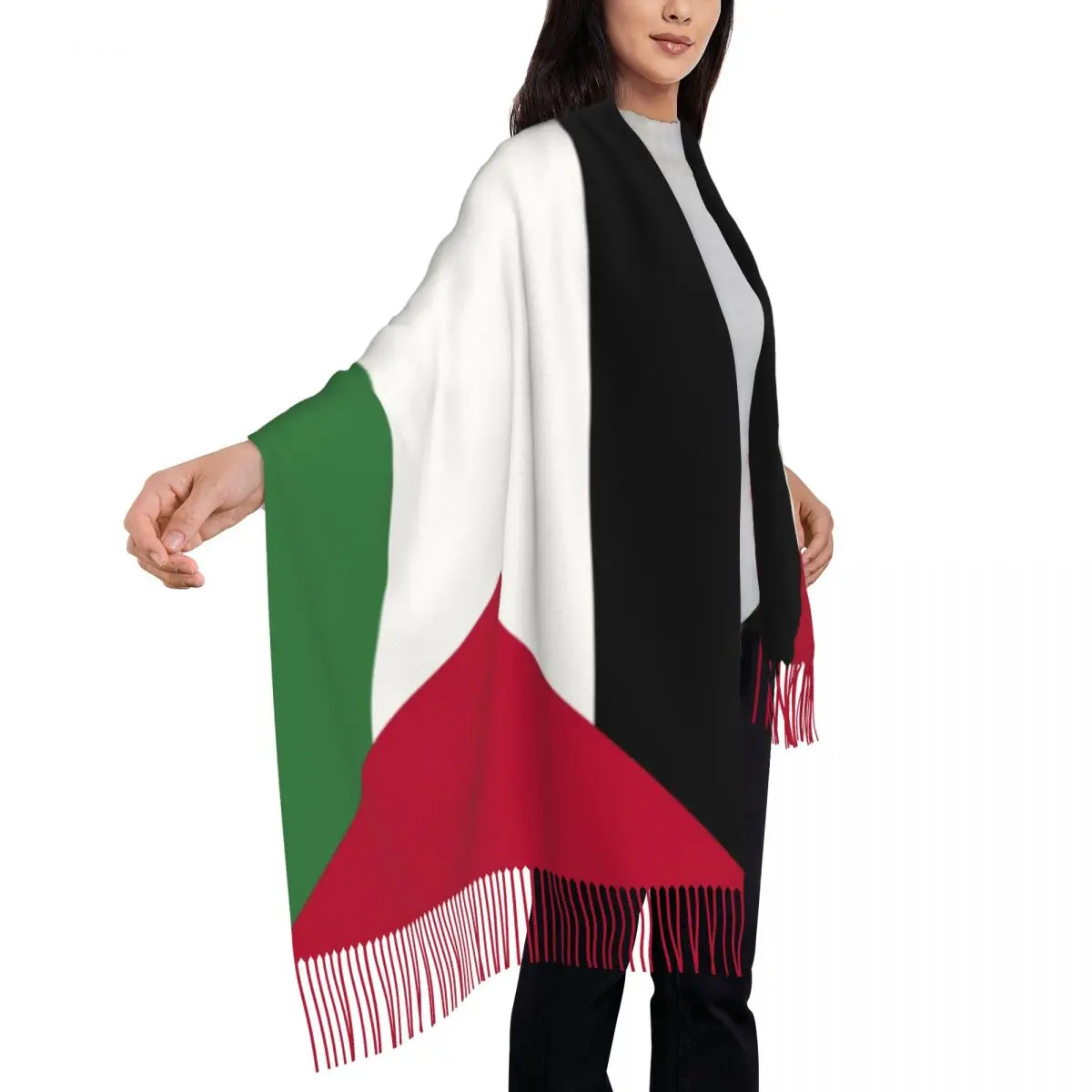 Sciarpa con nappe bandiera palestina donna morbida sciarpa patriottica con scialle da donna sciarpe autunnali invernali