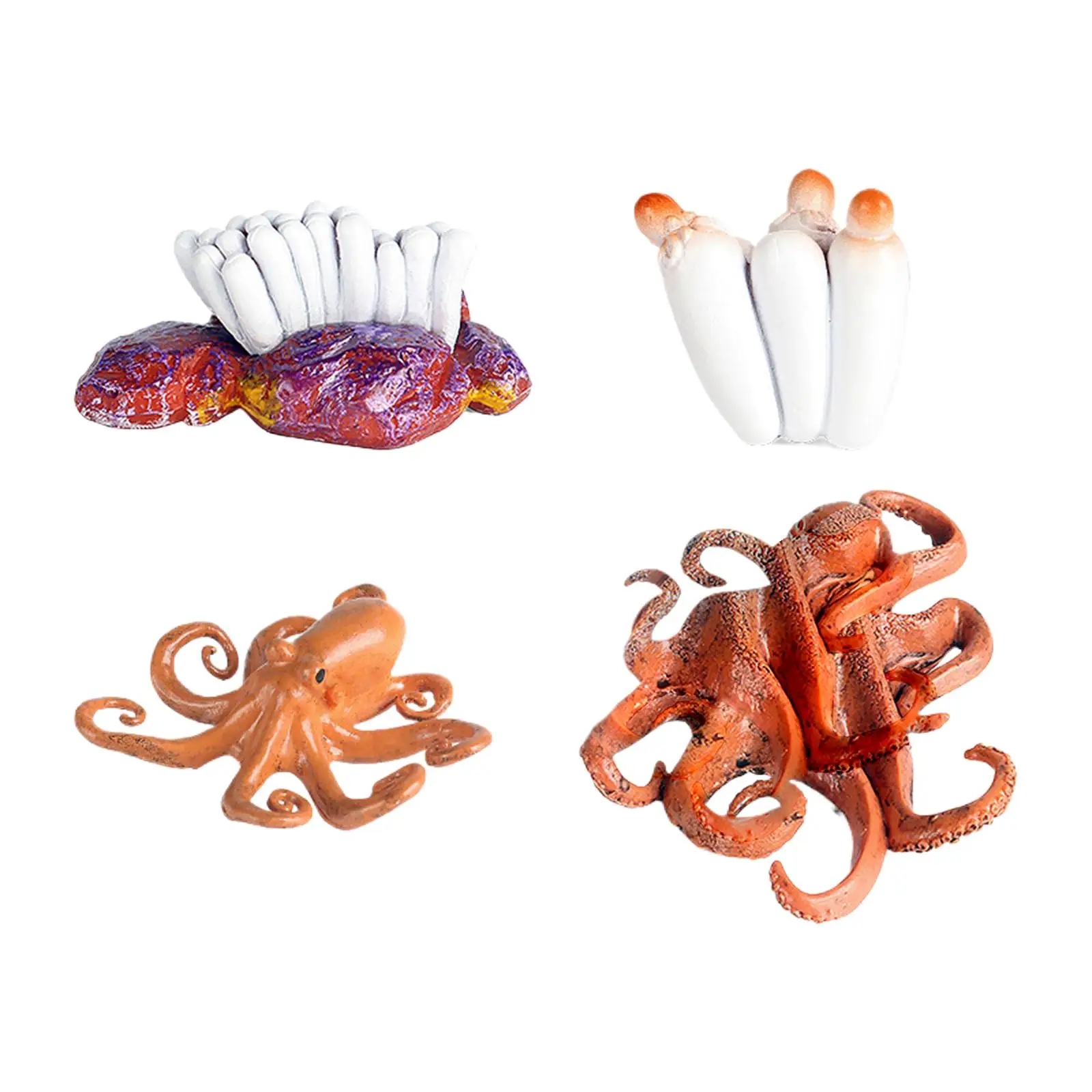 Octopus Growth Cycle Set Realistic Cognitive Learning Biology Montessori Toys for Kids Ages 3+ Children Toddlers Birthday Gifts