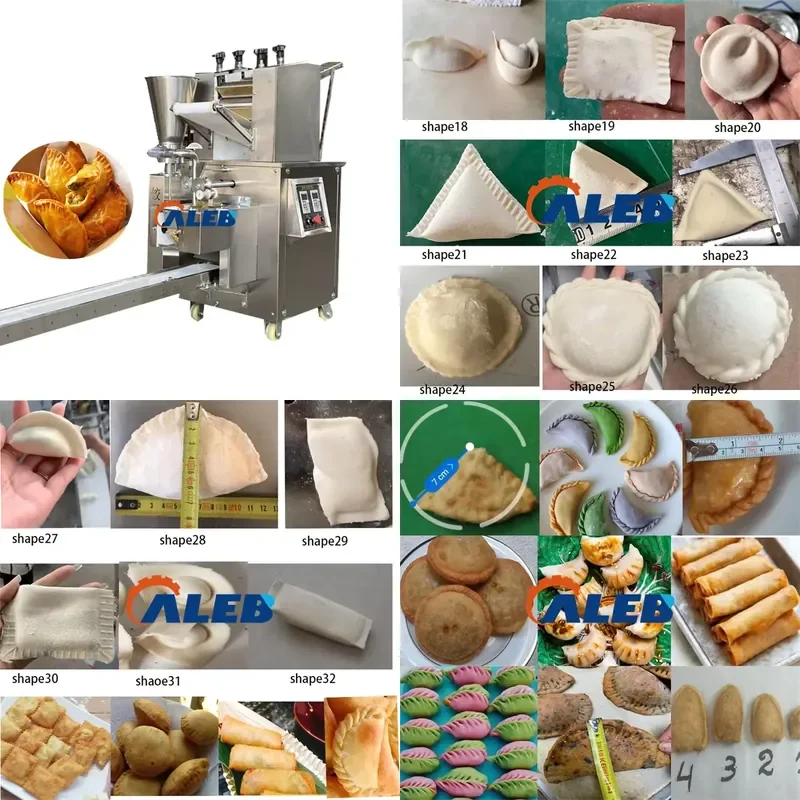 SFW Certificate Dumpling Machine Multi-function Ravioli Pierogi Making Machine Industrial Automatic Dumpling Forming Machine
